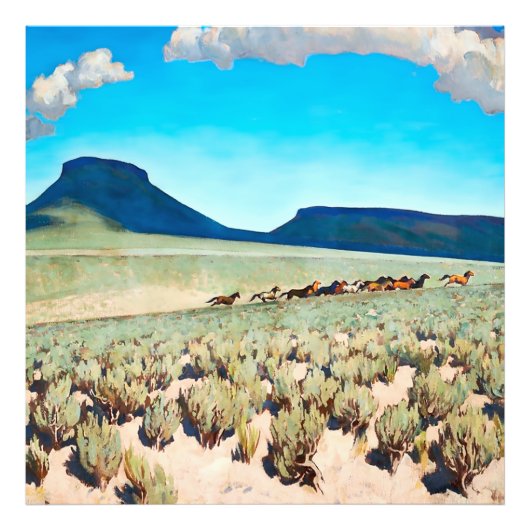 "Wild Horse Country" door Maynard Dixon Foto Afdruk (Voorkant)