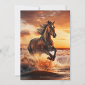 Wild Horse Freedom Kustpensioen Partij Kaart (Achterkant)