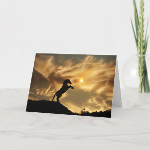 Wild Horse Funny Birthday Kaart