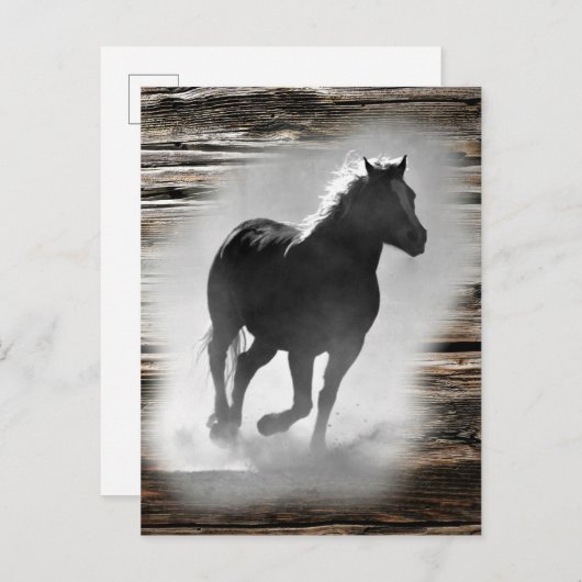 Wild Horse Galloping Aankondigingskaart (Voorkant / Achterkant)