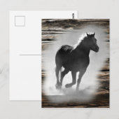 Wild Horse Galloping Briefkaart (Voorkant / Achterkant)