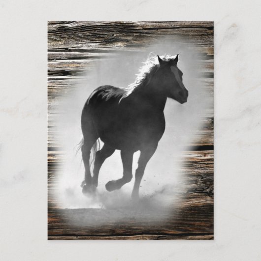 Wild Horse Galloping Briefkaart (Voorkant)