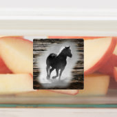 Wild Horse Galloping Labels (Aangebracht)