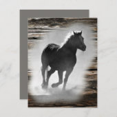 Wild Horse Galloping Notitiekaartje (Voorkant / Achterkant)