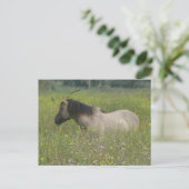 Wild Horse in Bloemenveld DIY Briefkaart (Staand voorkant)