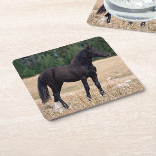 Wild Horse Kartonnen Onderzetters (Schuin)