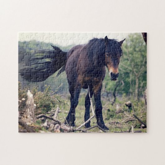 Wild Horse Legpuzzel (Horizontaal)
