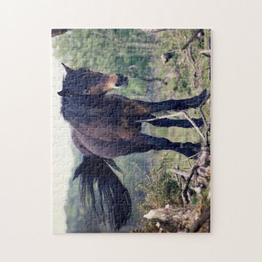 Wild Horse Legpuzzel (Verticaal)