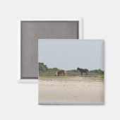 Wild Horse magneet (Voorkant / Achterkant)