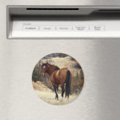 Wild Horse Magnet (Insitu (Vaatwasser))