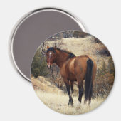 Wild Horse Magnet (Voorkant / Achterkant)