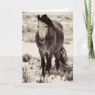 WILD HORSE OF UTAH Gevouwen Wenskaart Kaart