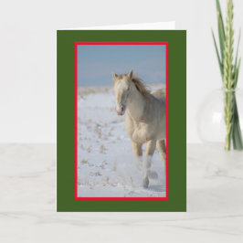 WILD HORSE OF UTAH IN DE KAART VAN DE SNEEUWKERST