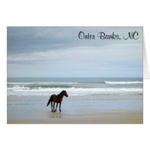 Wild Horse Outer Banks NC Kaart