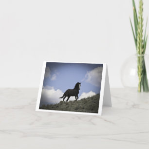 Wild Horse Photography Note Kaart