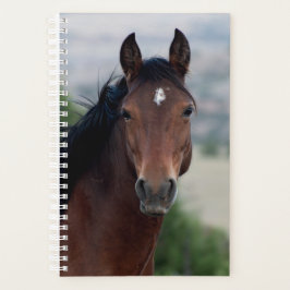 wild horse planner