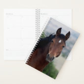 wild horse planner (Display)