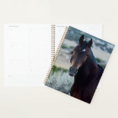 wild horse planner (Display)