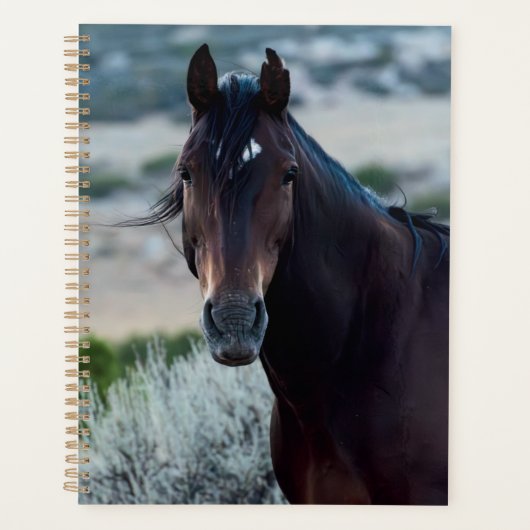 wild horse planner (Voorkant)