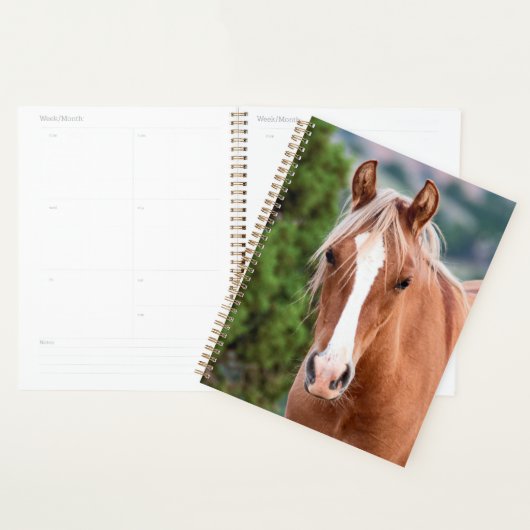 wild horse planner (Display)