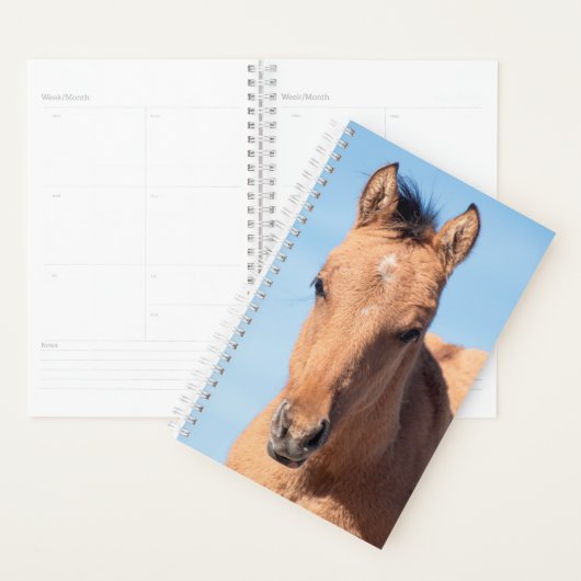 wild horse planner (Display)
