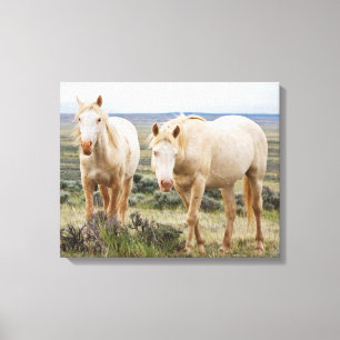 Wild Horse Roaming op de Priaïre van Cody Canvas Afdruk