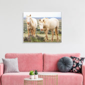 Wild Horse Roaming op de Priaïre van Cody Canvas Afdruk (Insitu (Woonkamer))