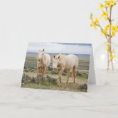 Wild Horse Roaming op de Priaïre van Cody Kaart (Gele Bloem)