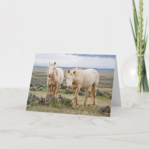 Wild Horse Roaming op de Priaïre van Cody Kaart