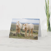 Wild Horse Roaming op de Priaïre van Cody Kaart (Voorkant)