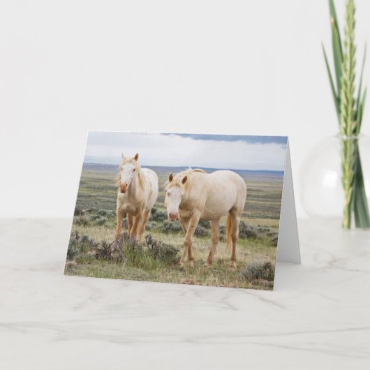 Wild Horse Roaming op de Priaïre van Cody Kaart (Voorkant)