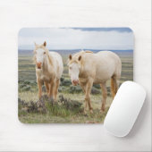 Wild Horse Roaming op de Priaïre van Cody Muismat (Met muis)