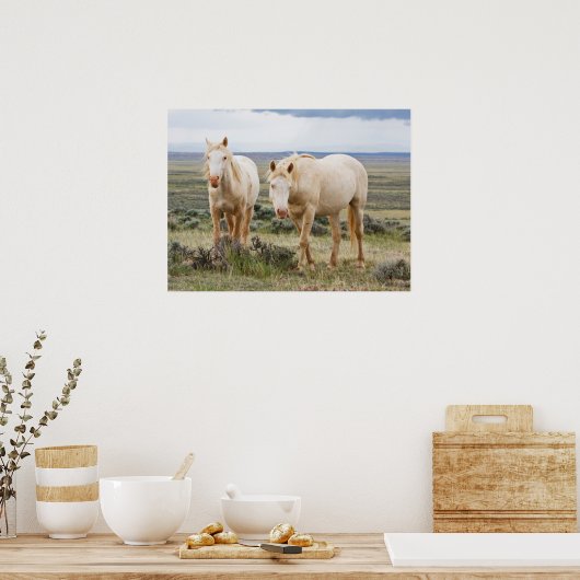 Wild Horse Roaming op de Priaïre van Cody Poster (Keuken)