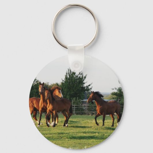 Wild Horse Roundup Sleutelhanger (Voorkant)