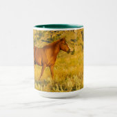 Wild Horse Sanctuary. Mok (Midden)