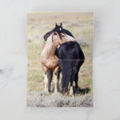 Wild Horse Secrets Wild Horse Wenskaart Kaart (Binnen)