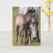 Wild Horse Serenity Kaart (Gele Bloem)