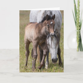 Wild Horse Serenity Kaart