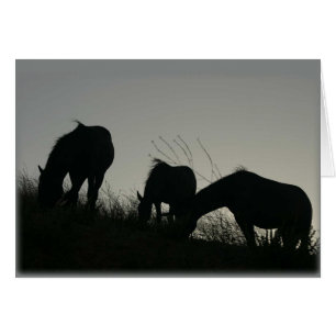 Wild Horse Silhouettes