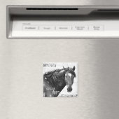 Wild Horse Southwest Photo Magnet (Insitu (Vaatwasser))
