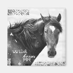 Wild Horse Southwest Photo Magnet