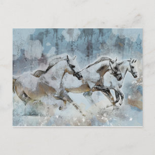 Wild Horse Stampede Western Briefkaart