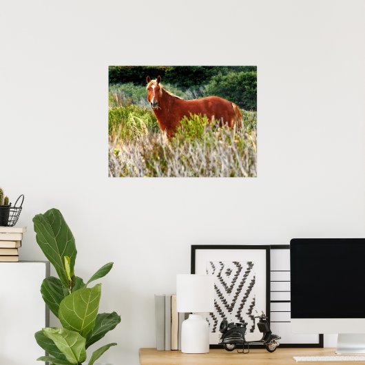 Wild Horse Staredown Poster (Thuiskantoor)