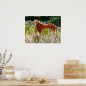 Wild Horse Staredown Poster (Keuken)