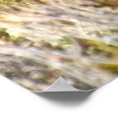 Wild Horse Staredown Poster (Hoek)