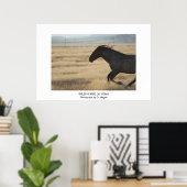  WILD-HORSE VAN UTAFOTOGRAAF POSTER (Thuiskantoor)