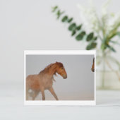 WILD-HORSE VAN UTAH IN WESTERNE DESERT BRIEFKAART (Staand voorkant)