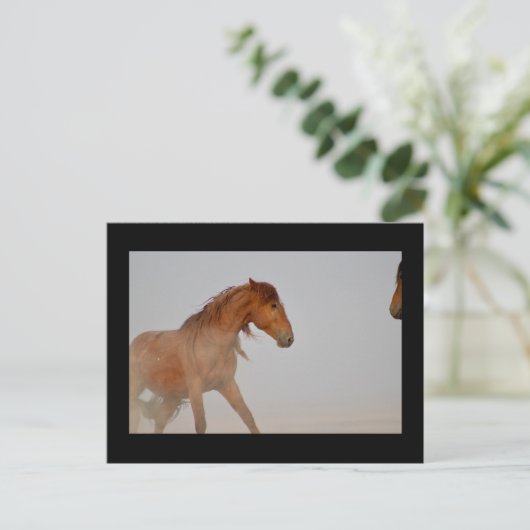WILD-HORSE VAN UTAH IN WESTERNE DESERT BRIEFKAART (Staand voorkant)