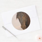 WILD-HORSE VAN UTAH IN WESTERNE DESERT RONDE STICKER (Envelop)