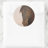 WILD-HORSE VAN UTAH IN WESTERNE DESERT RONDE STICKER (Tas)